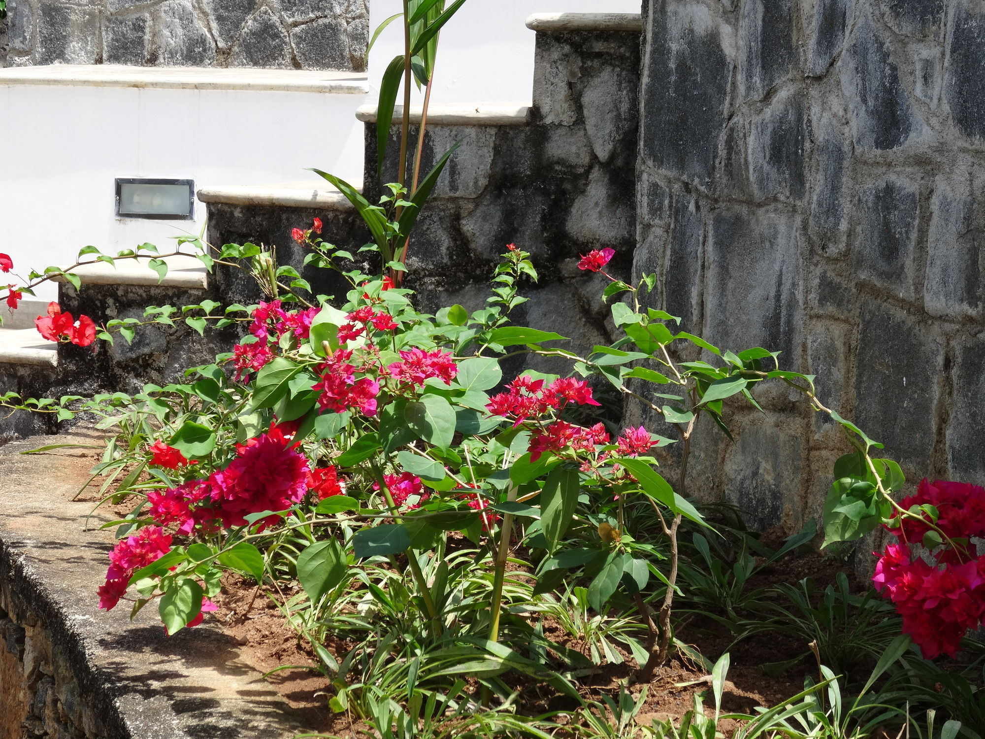 Amandari Holiday Villa Gelioya Extérieur photo